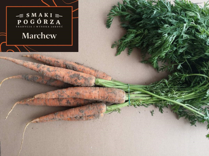 Marchew z gospodarstwa Jan Czaja