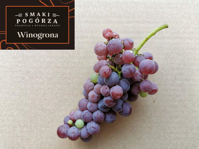 Winogrona deserowe z Winnicy Pogórze