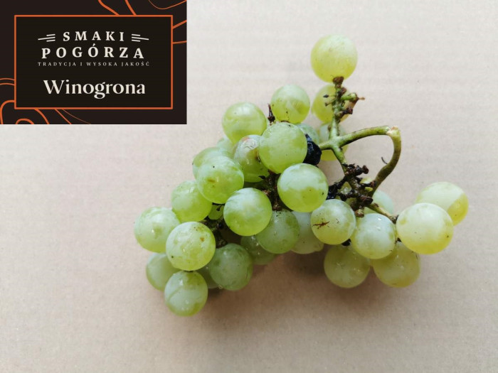 Winogrono deserowe od Robert Beściak