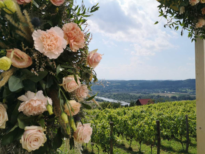 Sesja ślubna na Winnicy Pogórze