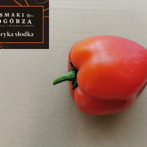 Papryka słodka z gospodarstwa Jan Czaja
