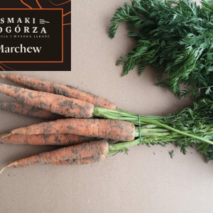 Marchew z gospodarstwa Jan Czaja