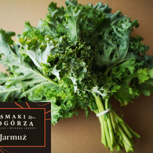 Jarmuż z gospodarstwa Jan Czaja