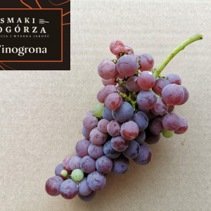 Winogrona deserowe z Winnicy Pogórze